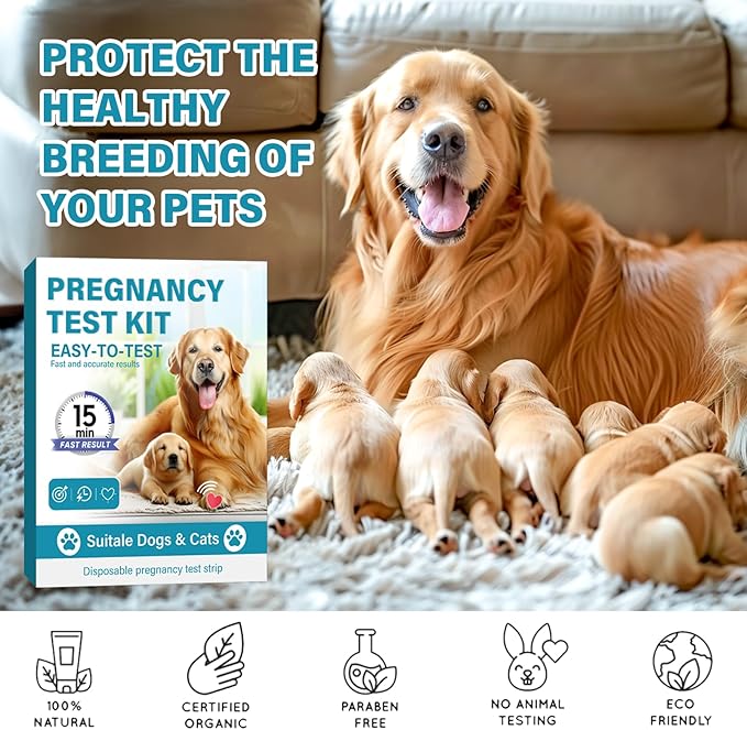 Dog Pregnancy Test Kit, Pet Pregnancy Supplies, Accurate and Fast Pregnancy Test Strips for Puppy, Disposable Pet Clinic Equipment at Home
