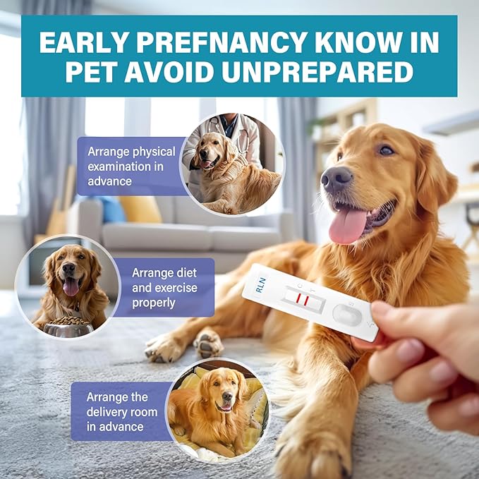Dog Pregnancy Test Kit at Home, Accurate and Fast Dog Pregnancy Test, Convenient & Disposable Pregnancy Tests Strip