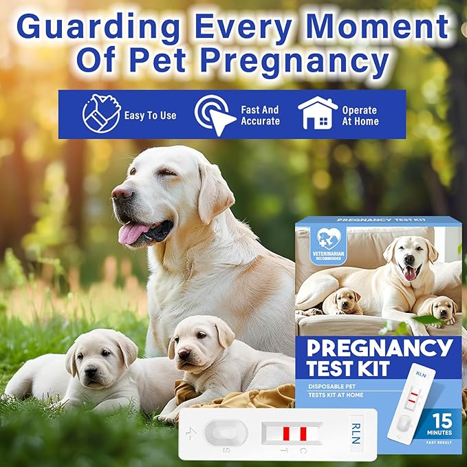 Dog Pregnancy Test Kit, Early Pregnancy Test for Dogs & Cats, Fast and Accurate Home Testing, Results Within 15 Minutes, for Breeders and Pet Owners