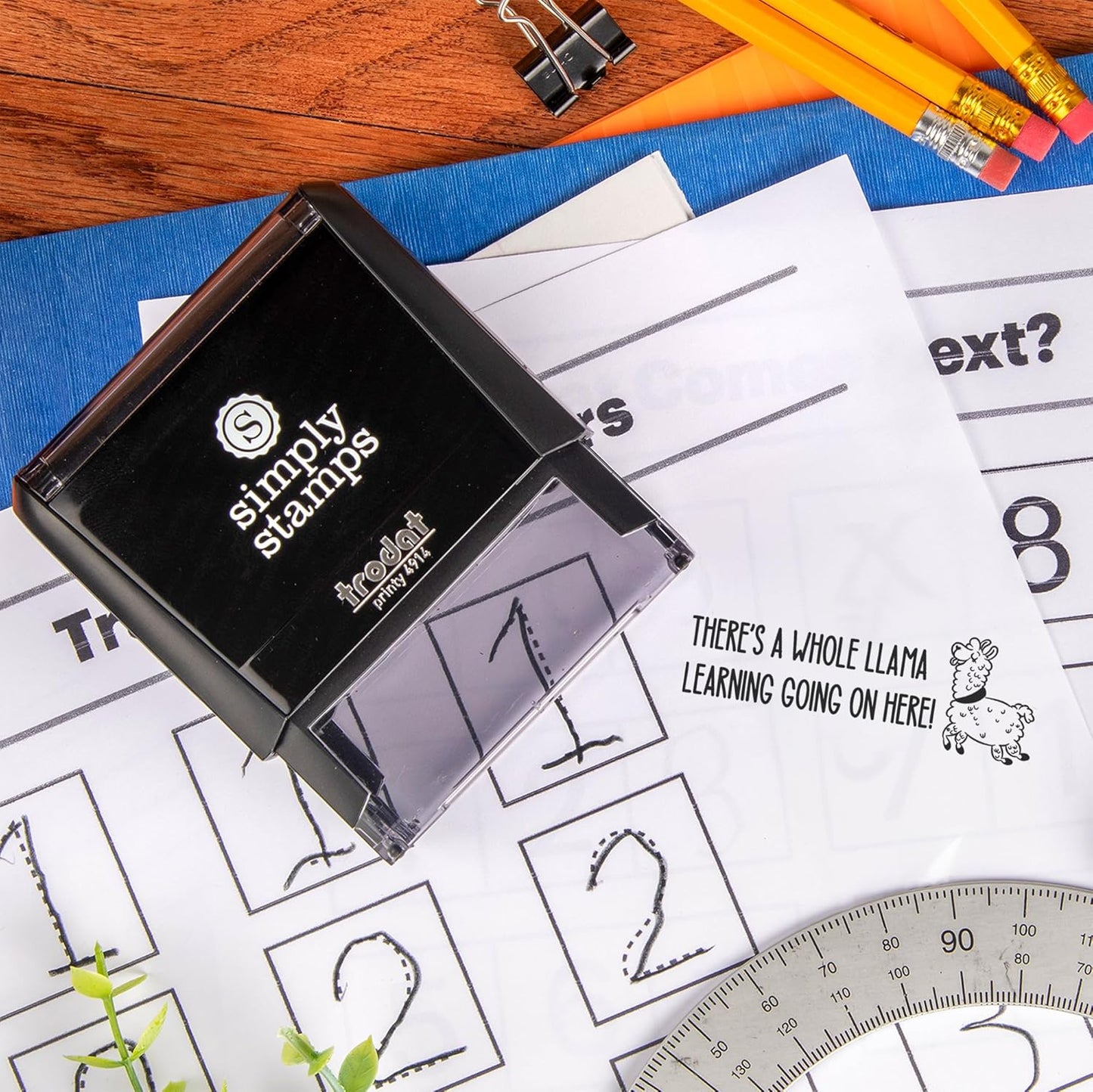 Custom Self-Inking Stamps | 49 Designs | Fun Phrases | Grading Made Easy | Classroom, Library Book Stamps (Whole Llama Learning, Xtra Large)